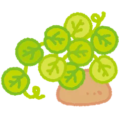 搗蛋植物園
